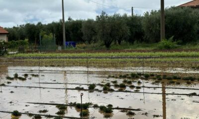 adn24 albenga sv | per lalluvione i danni ammontano a oltre 25 milioni di euro