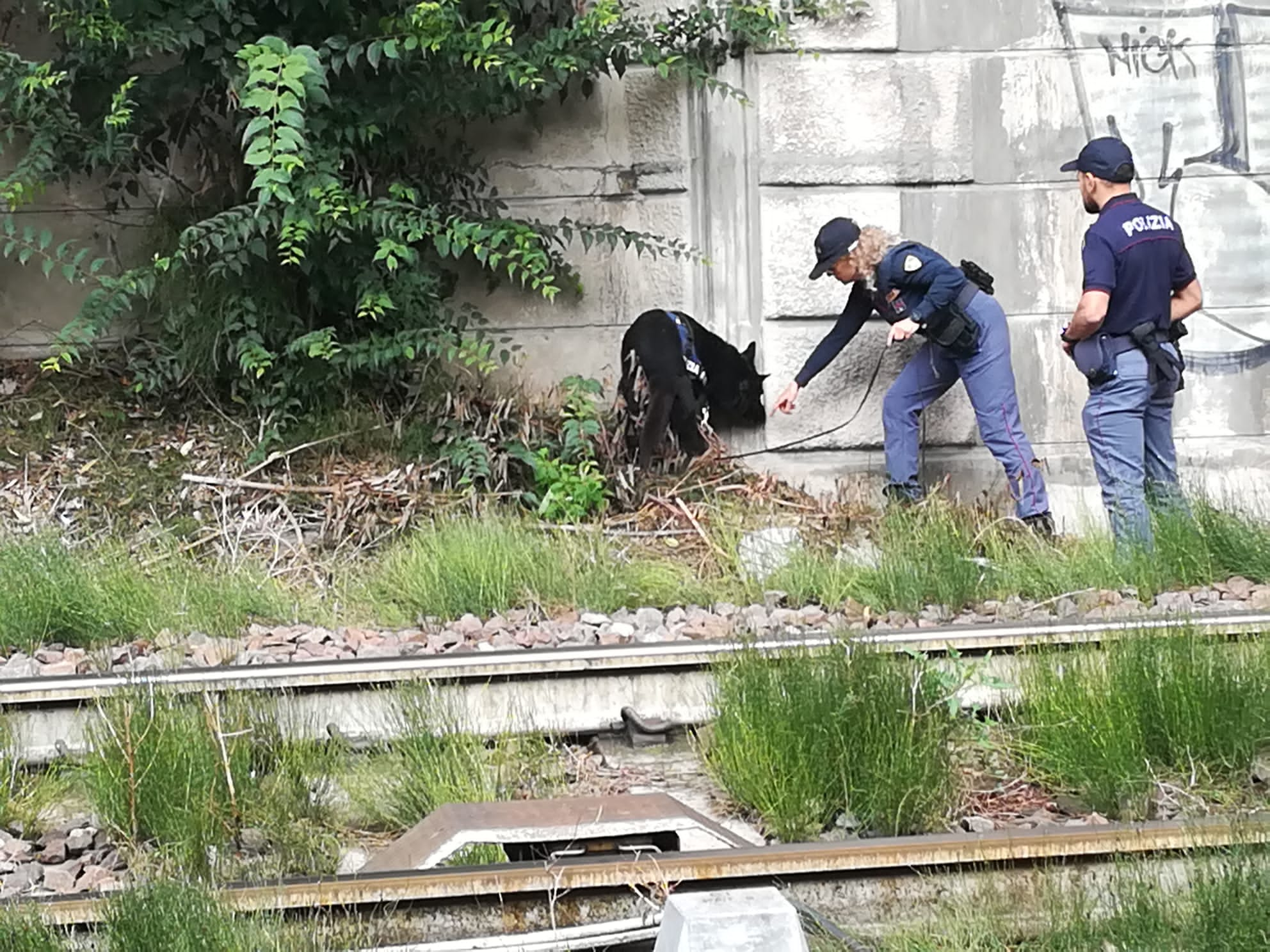 adn24 mantova | potenziati i controlli di sicurezza operazione contro la criminalità diffusa