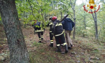 adn24 sillano lu | vigili del fuoco salvano un cane caduto in un canalone