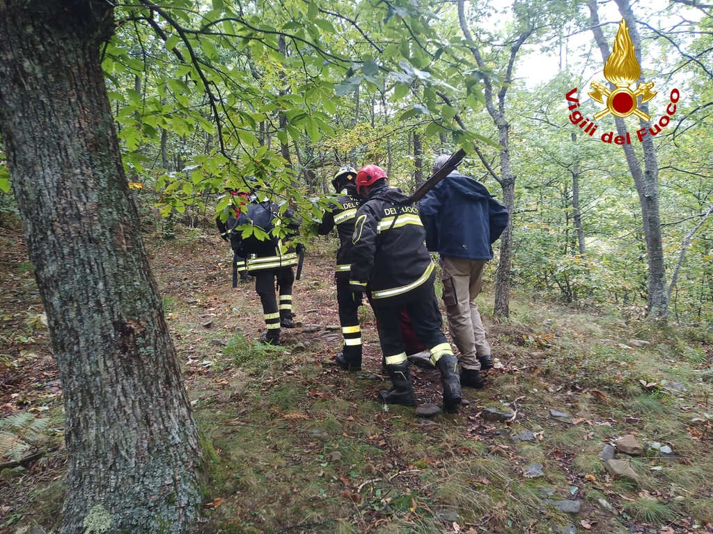 adn24 sillano lu | vigili del fuoco salvano un cane caduto in un canalone