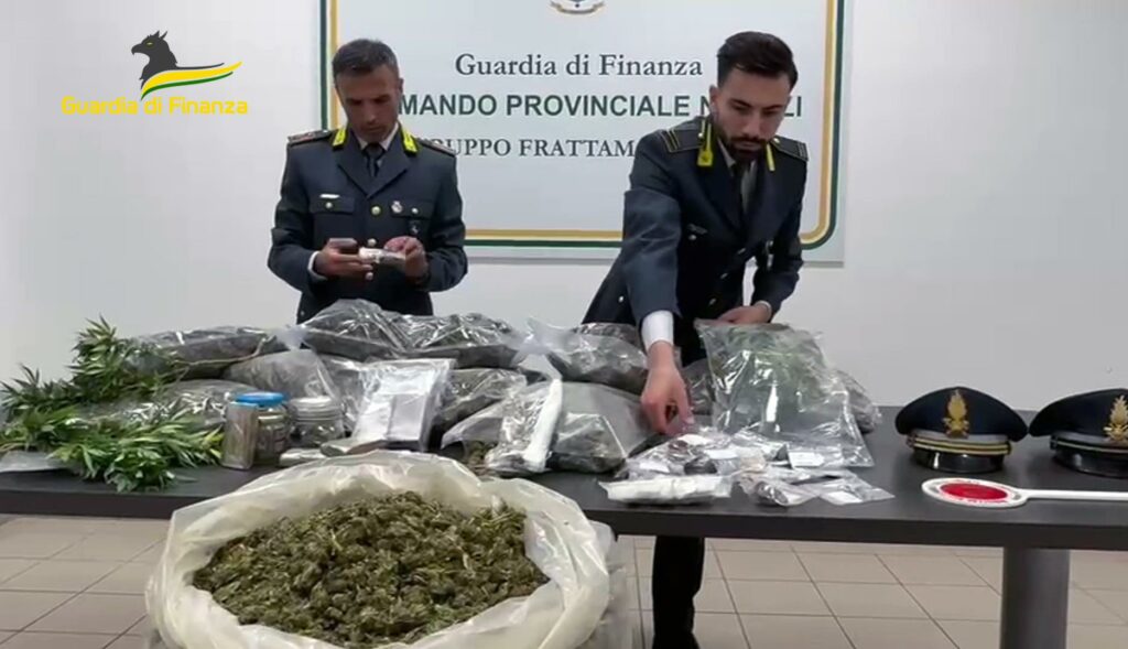 adn24 napoli | scoperta piantagione di canapa e oltre 50 kg di marijuana essiccata