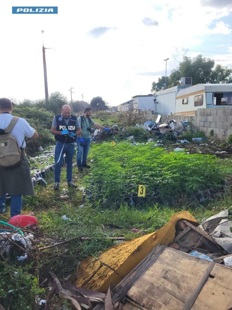 adn24 lecce | operazione campo panareo raid contro lillegalità