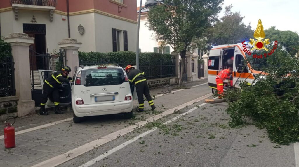 adn24 senigallia an | scontro tra due auto in corso matteotti