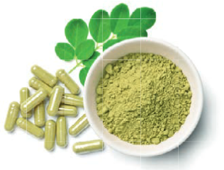 adn24 moringa oleifera un alleato contro la sindrome metabolica