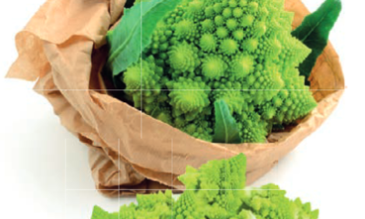 adn24 cavolo romanesco un superfood per la salute dei polmoni e il controllo della glicemia