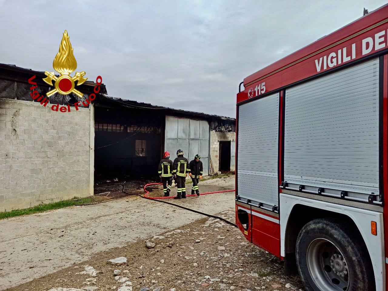 adn24 castiglione del lago pg | incendio in una stalla domato con successo